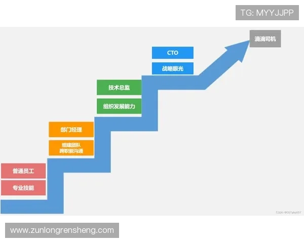 尊龙集团简介：企业文化、使命愿景与未来发展战略概述