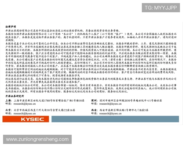 尊龙网址集团在行业中的领先地位与未来发展战略分析，助你全面了解企业动态