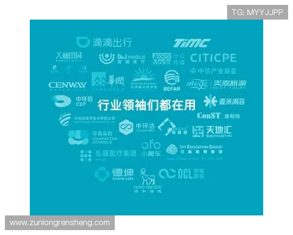 Z6尊龙世界杯下注：多平台比较推荐，选择最优投注方案实现最大收益