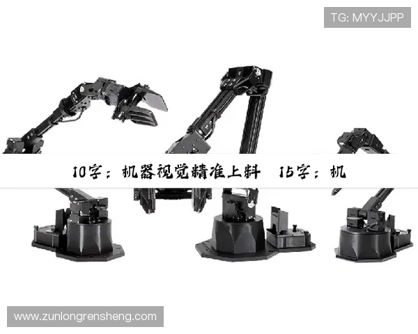 ag尊龙官方网站游戏特色与玩法解析让新手快速上手掌握核心技巧提升战斗力