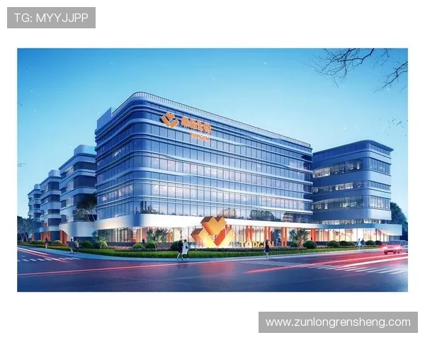 尊龙凯时正规官网提供安全可靠的游戏体验与优质客户服务全方位保障玩家权益