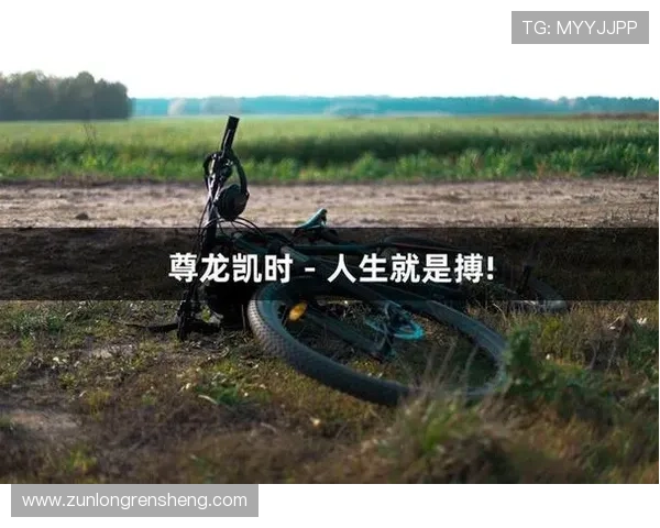 尊龙凯时人生就是搏z6com:从新手到高手的完整成长路线指南 尊龙凯时人生就是搏z6com:从新手到高手的完整成长路线指南