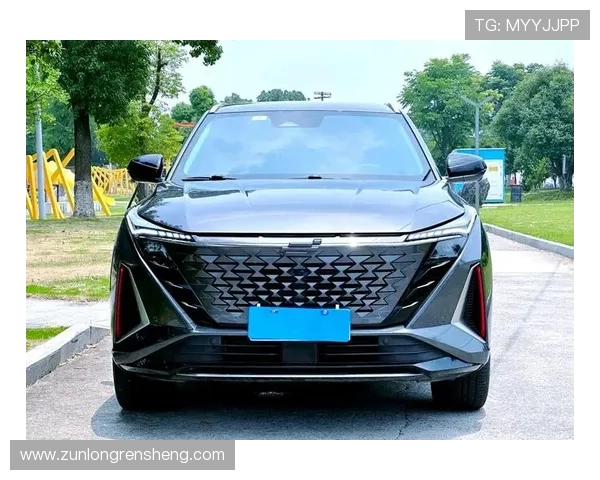 Z6就是博：深入了解Z6在行业中的独特竞争力
