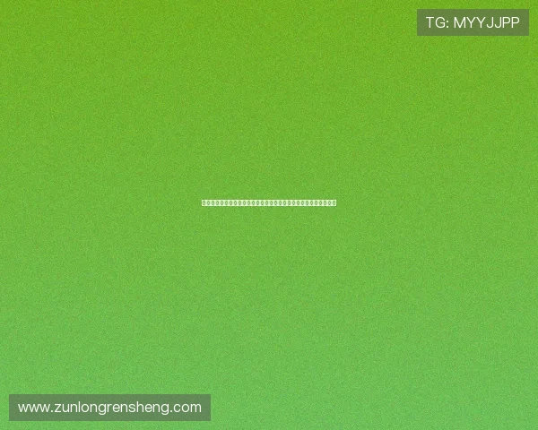新西兰与比利时在世界杯历史上的交手记录及战绩分析助力赛事预测